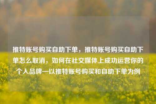 推特账号购买自助下单，推特账号购买自助下单怎么取消，如何在社交媒体上成功运营你的个人品牌—以推特账号购买和自助下单为例