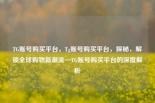 TG账号购买平台，Tg账号购买平台，探秘，解锁全球购物新潮流—TG账号购买平台的深度解析