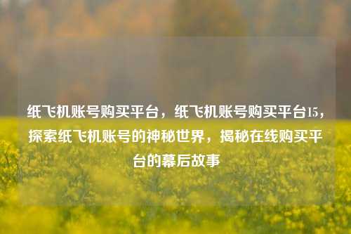 纸飞机账号购买平台，纸飞机账号购买平台15，探索纸飞机账号的神秘世界，揭秘在线购买平台的幕后故事