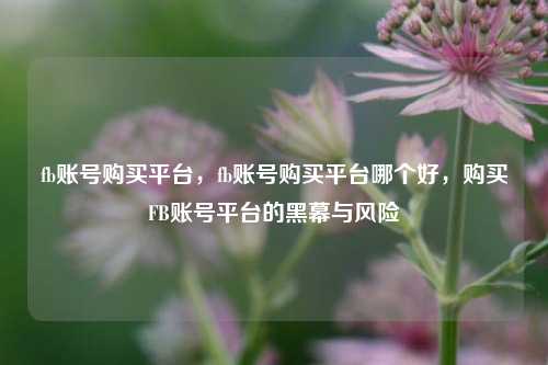 fb账号购买平台，fb账号购买平台哪个好，购买FB账号平台的黑幕与风险