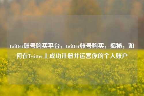 twitter账号购买平台，twitter帐号购买，揭秘，如何在Twitter上成功注册并运营你的个人账户
