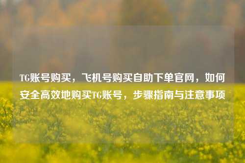 TG账号购买，飞机号购买自助下单官网，如何安全高效地购买TG账号，步骤指南与注意事项