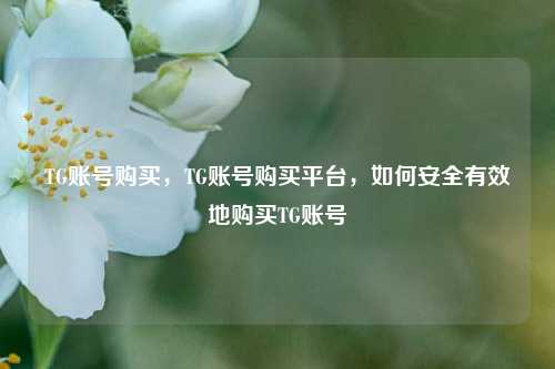 TG账号购买，TG账号购买平台，如何安全有效地购买TG账号