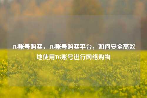 TG账号购买，TG账号购买平台，如何安全高效地使用TG账号进行网络购物