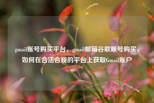 gmail账号购买平台，gmail邮箱谷歌账号购买，如何在合法合规的平台上获取Gmail账户