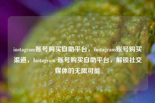 instagram账号购买自助平台，instagram账号购买渠道，Instagram 账号购买自助平台，解锁社交媒体的无限可能