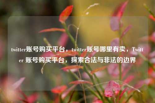 twitter账号购买平台，twitter账号哪里有卖，Twitter 账号购买平台，探索合法与非法的边界