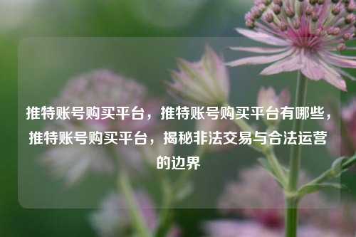 推特账号购买平台，推特账号购买平台有哪些，推特账号购买平台，揭秘非法交易与合法运营的边界