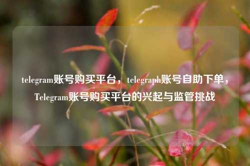 telegram账号购买平台，telegraph账号自助下单，Telegram账号购买平台的兴起与监管挑战