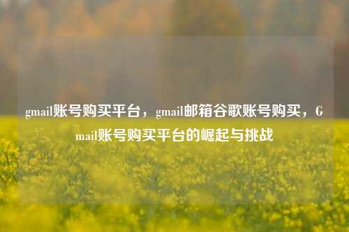 gmail账号购买平台，gmail邮箱谷歌账号购买，Gmail账号购买平台的崛起与挑战