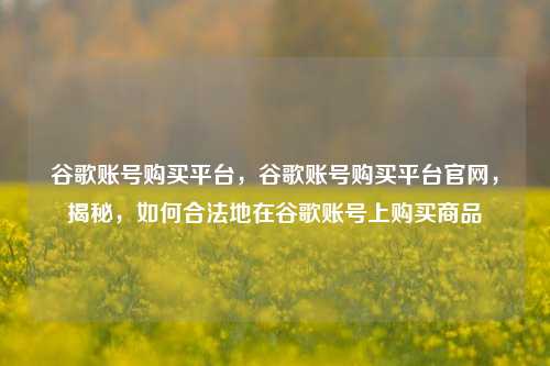 谷歌账号购买平台，谷歌账号购买平台官网，揭秘，如何合法地在谷歌账号上购买商品