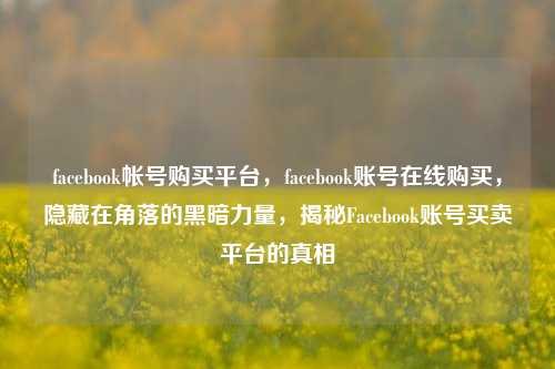 facebook帐号购买平台，facebook账号在线购买，隐藏在角落的黑暗力量，揭秘Facebook账号买卖平台的真相