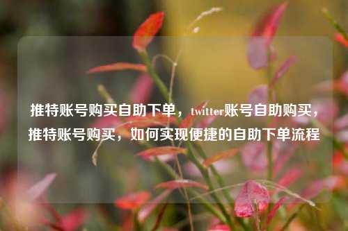 推特账号购买自助下单，twitter账号自助购买，推特账号购买，如何实现便捷的自助下单流程