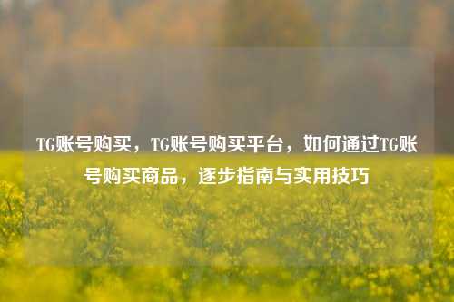 TG账号购买，TG账号购买平台，如何通过TG账号购买商品，逐步指南与实用技巧