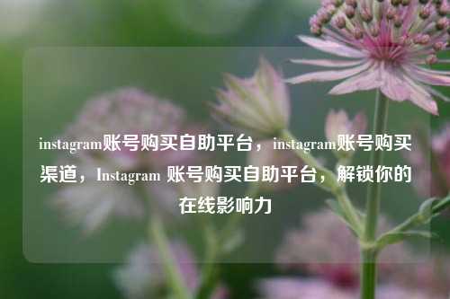 instagram账号购买自助平台，instagram账号购买渠道，Instagram 账号购买自助平台，解锁你的在线影响力