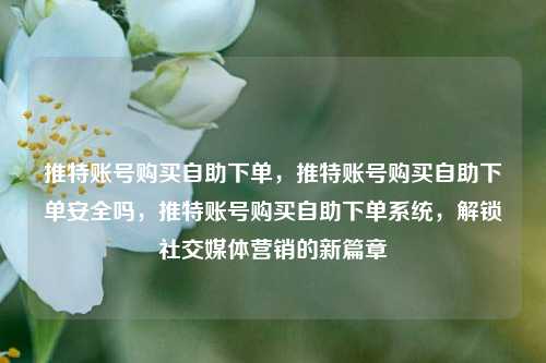推特账号购买自助下单，推特账号购买自助下单安全吗，推特账号购买自助下单系统，解锁社交媒体营销的新篇章