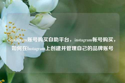instagram账号购买自助平台，instagram帐号购买，如何在Instagram上创建并管理自己的品牌账号