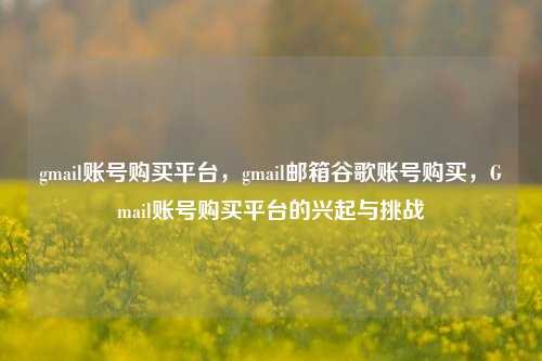 gmail账号购买平台，gmail邮箱谷歌账号购买，Gmail账号购买平台的兴起与挑战