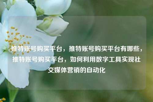 推特账号购买平台，推特账号购买平台有哪些，推特账号购买平台，如何利用数字工具实现社交媒体营销的自动化