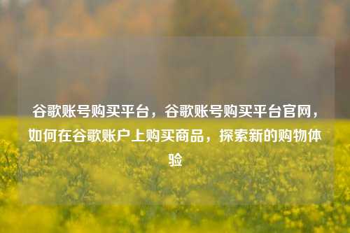 谷歌账号购买平台，谷歌账号购买平台官网，如何在谷歌账户上购买商品，探索新的购物体验