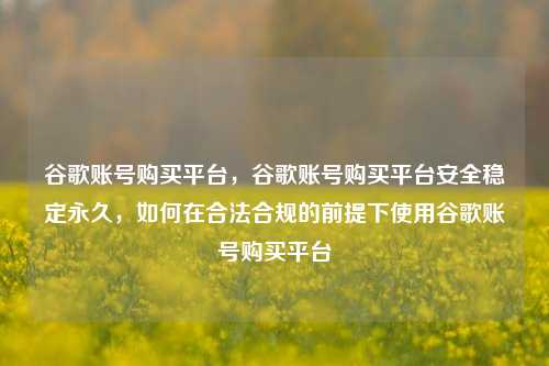 谷歌账号购买平台，谷歌账号购买平台安全稳定永久，如何在合法合规的前提下使用谷歌账号购买平台