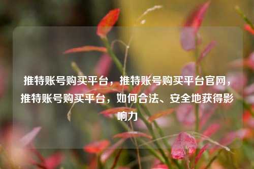 推特账号购买平台，推特账号购买平台官网，推特账号购买平台，如何合法、安全地获得影响力