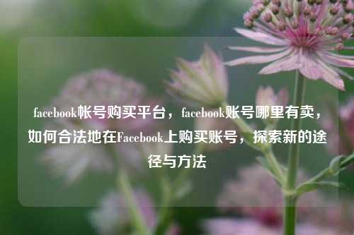 facebook帐号购买平台，facebook账号哪里有卖，如何合法地在Facebook上购买账号，探索新的途径与方法