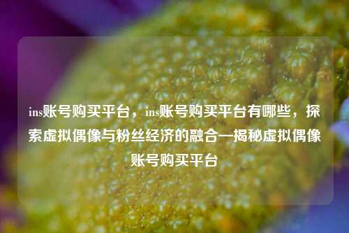 ins账号购买平台，ins账号购买平台有哪些，探索虚拟偶像与粉丝经济的融合—揭秘虚拟偶像账号购买平台
