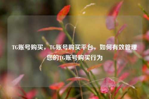 TG账号购买，TG账号购买平台，如何有效管理您的TG账号购买行为