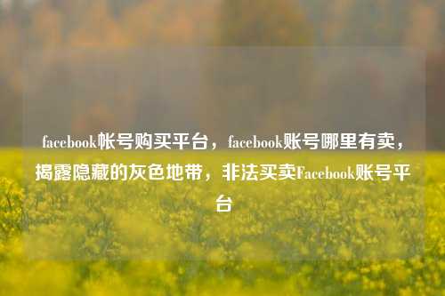 facebook帐号购买平台，facebook账号哪里有卖，揭露隐藏的灰色地带，非法买卖Facebook账号平台