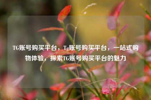 TG账号购买平台，Tg账号购买平台，一站式购物体验，探索TG账号购买平台的魅力