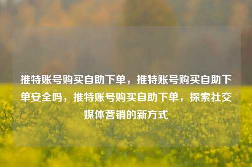 推特账号购买自助下单，推特账号购买自助下单安全吗，推特账号购买自助下单，探索社交媒体营销的新方式