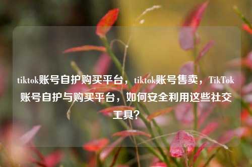 tiktok账号自护购买平台	，tiktok账号售卖，TikTok账号自护与购买平台，如何安全利用这些社交工具？  第1张