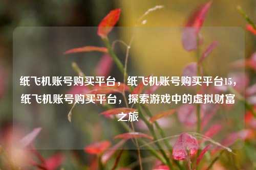 纸飞机账号购买平台，纸飞机账号购买平台15，纸飞机账号购买平台，探索游戏中的虚拟财富之旅