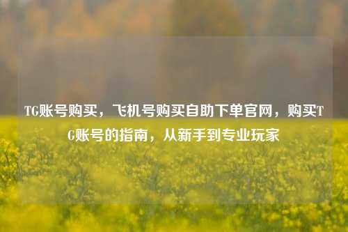 TG账号购买，飞机号购买自助下单官网，购买TG账号的指南，从新手到专业玩家