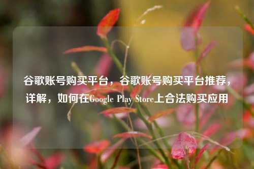谷歌账号购买平台，谷歌账号购买平台推荐，详解，如何在Google Play Store上合法购买应用
