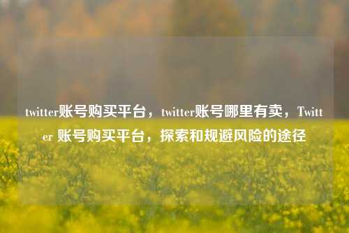 twitter账号购买平台，twitter账号哪里有卖	，Twitter 账号购买平台，探索和规避风险的途径  第1张