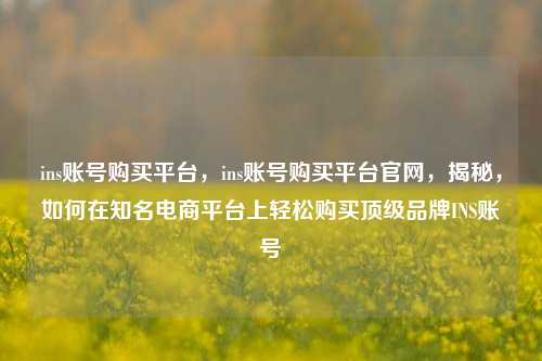 ins账号购买平台，ins账号购买平台官网，揭秘，如何在知名电商平台上轻松购买顶级品牌INS账号