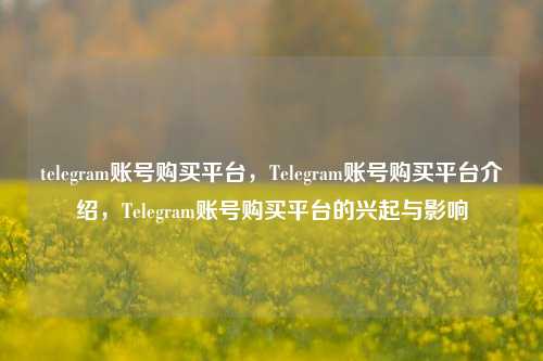 telegram账号购买平台，Telegram账号购买平台介绍，Telegram账号购买平台的兴起与影响