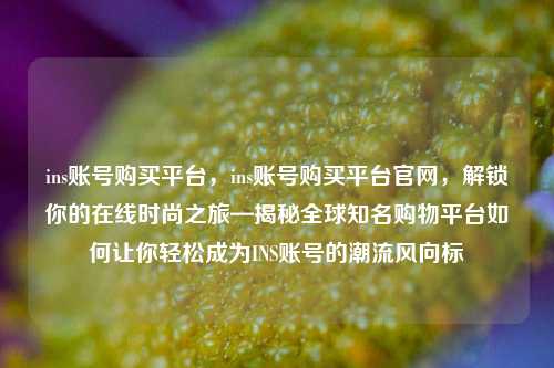 ins账号购买平台，ins账号购买平台官网，解锁你的在线时尚之旅—揭秘全球知名购物平台如何让你轻松成为INS账号的潮流风向标