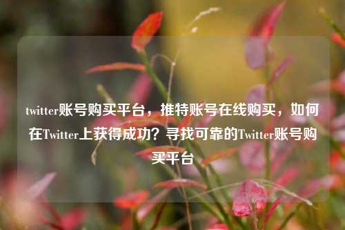 twitter账号购买平台，推特账号在线购买，如何在Twitter上获得成功？寻找可靠的Twitter账号购买平台