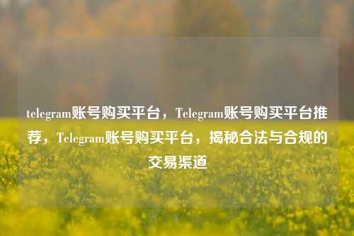telegram账号购买平台，Telegram账号购买平台推荐，Telegram账号购买平台，揭秘合法与合规的交易渠道