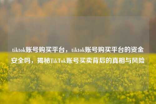 tiktok账号购买平台，tiktok账号购买平台的资金安全吗，揭秘TikTok账号买卖背后的真相与风险