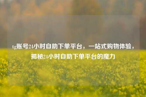 tg账号24小时自助下单平台，一站式购物体验，揭秘24小时自助下单平台的魔力