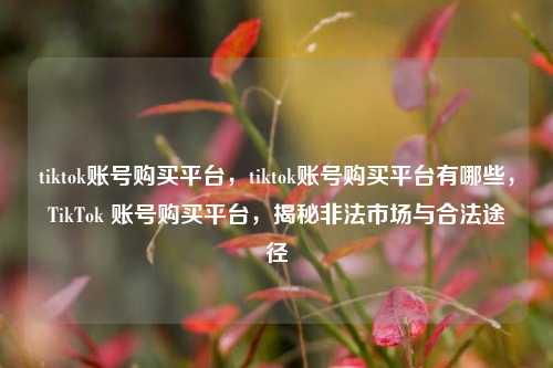 tiktok账号购买平台，tiktok账号购买平台有哪些	，TikTok 账号购买平台，揭秘非法市场与合法途径  第1张