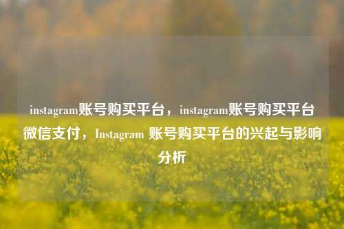instagram账号购买平台，instagram账号购买平台微信支付，Instagram 账号购买平台的兴起与影响分析