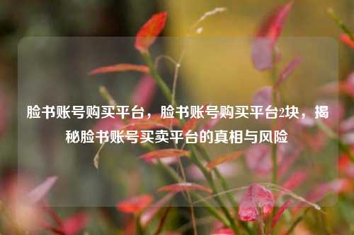 脸书账号购买平台，脸书账号购买平台2块，揭秘脸书账号买卖平台的真相与风险