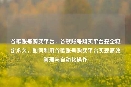 谷歌账号购买平台，谷歌账号购买平台安全稳定永久，如何利用谷歌账号购买平台实现高效管理与自动化操作