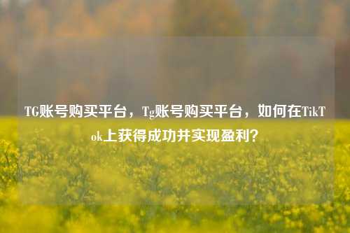 TG账号购买平台，Tg账号购买平台，如何在TikTok上获得成功并实现盈利？