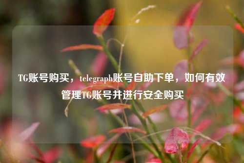 TG账号购买，telegraph账号自助下单，如何有效管理TG账号并进行安全购买